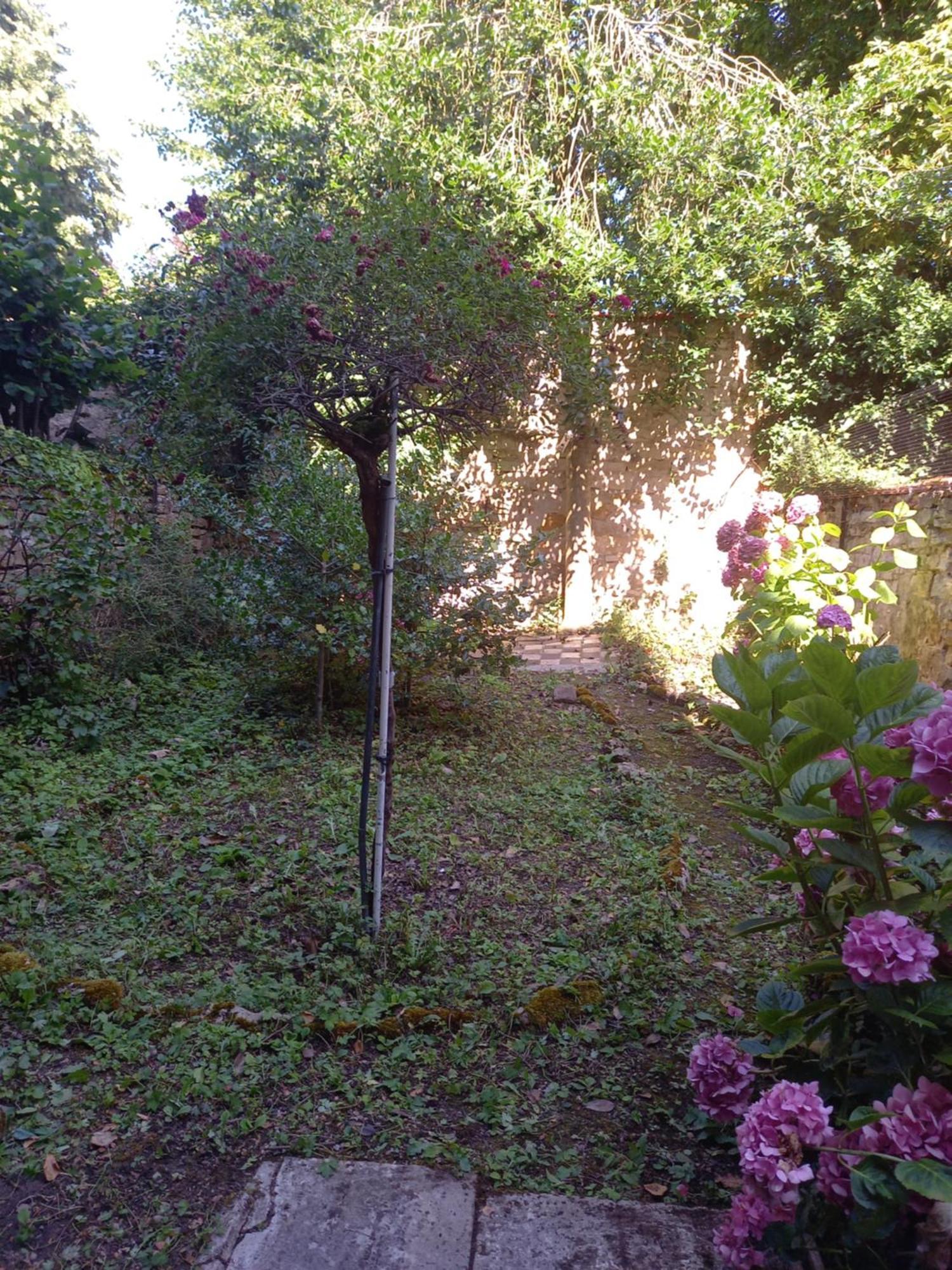 Апартаменты La Teranga De Kadi & Cathy, Avec Jardin Privatif Нанси Экстерьер фото