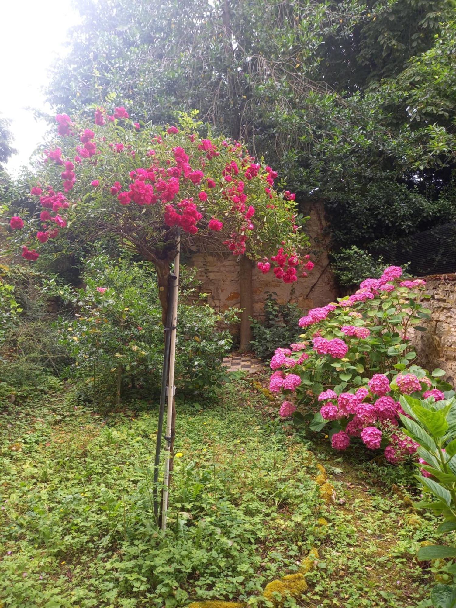 Апартаменты La Teranga De Kadi & Cathy, Avec Jardin Privatif Нанси Экстерьер фото